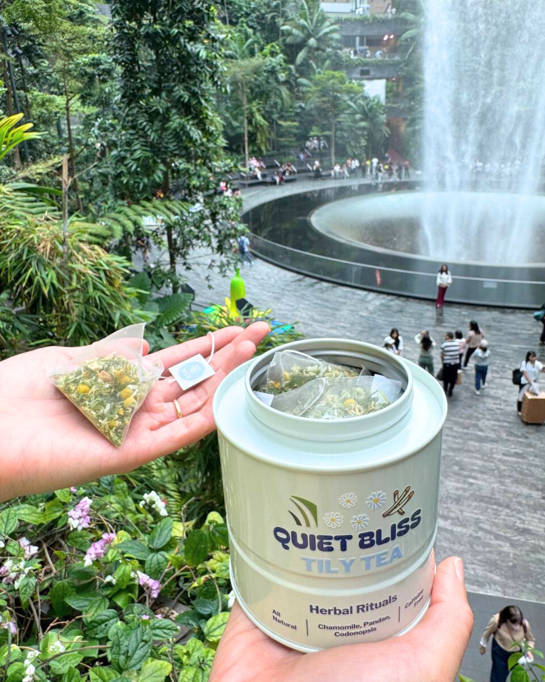 Top Three Singapore Souvenirs to get at Jewel Changi Airport