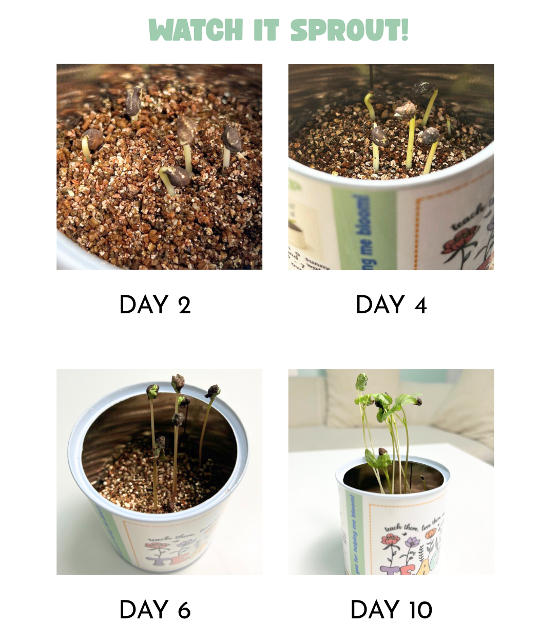 Self Planting Kit Bundle of 5 - 25% off