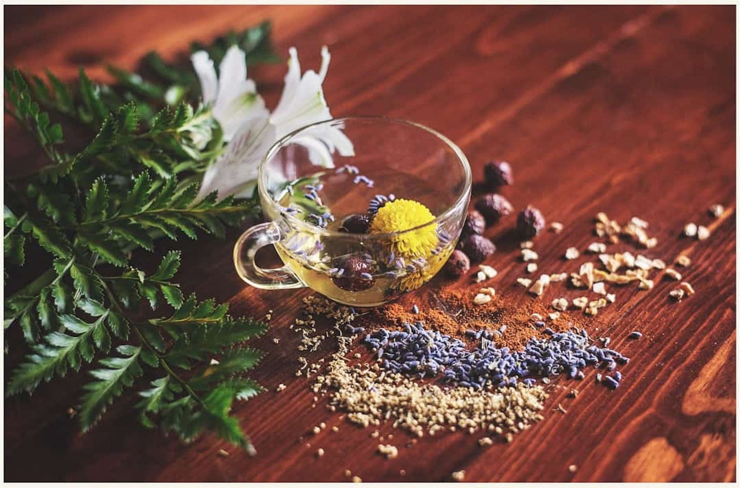 Why More People Are Turning to Herbal Teas for Everyday Wellness