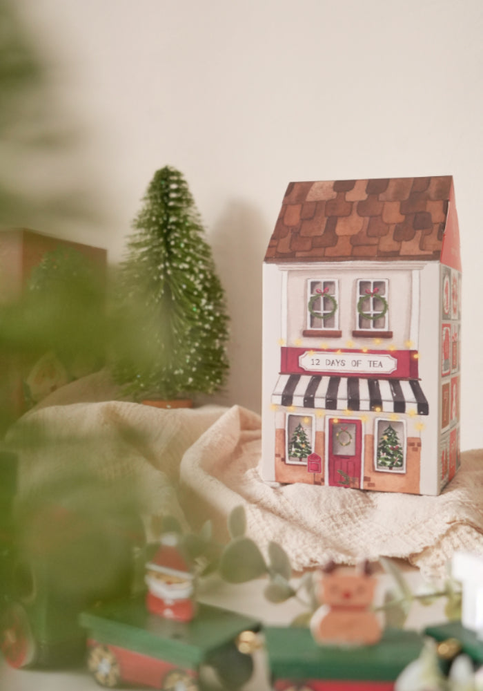 Christmas Advent House