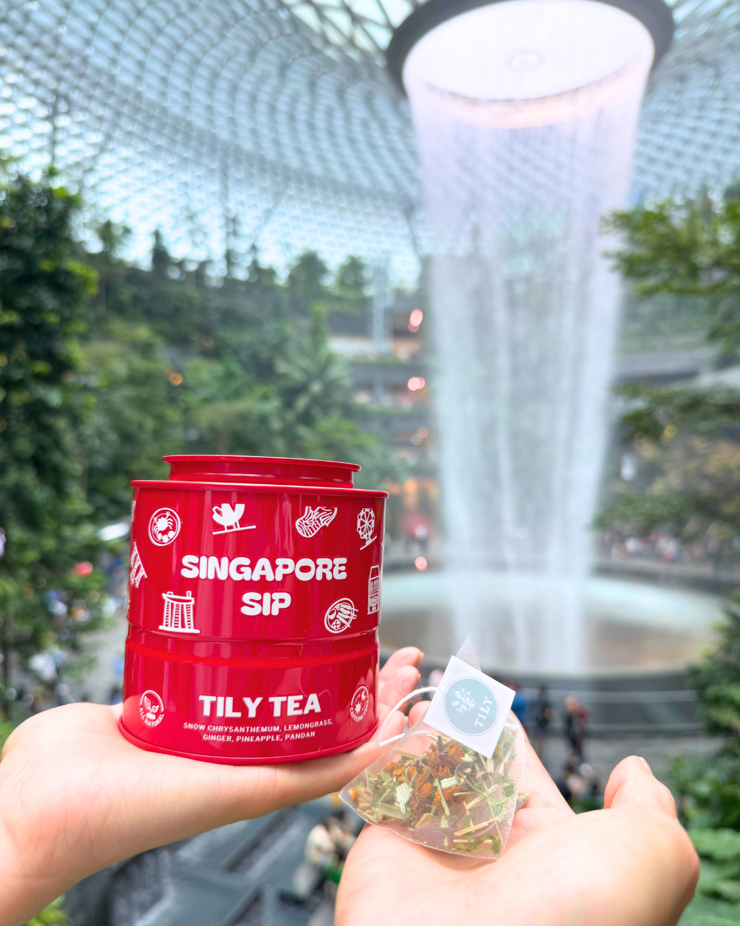 Singapore Sip Tin
